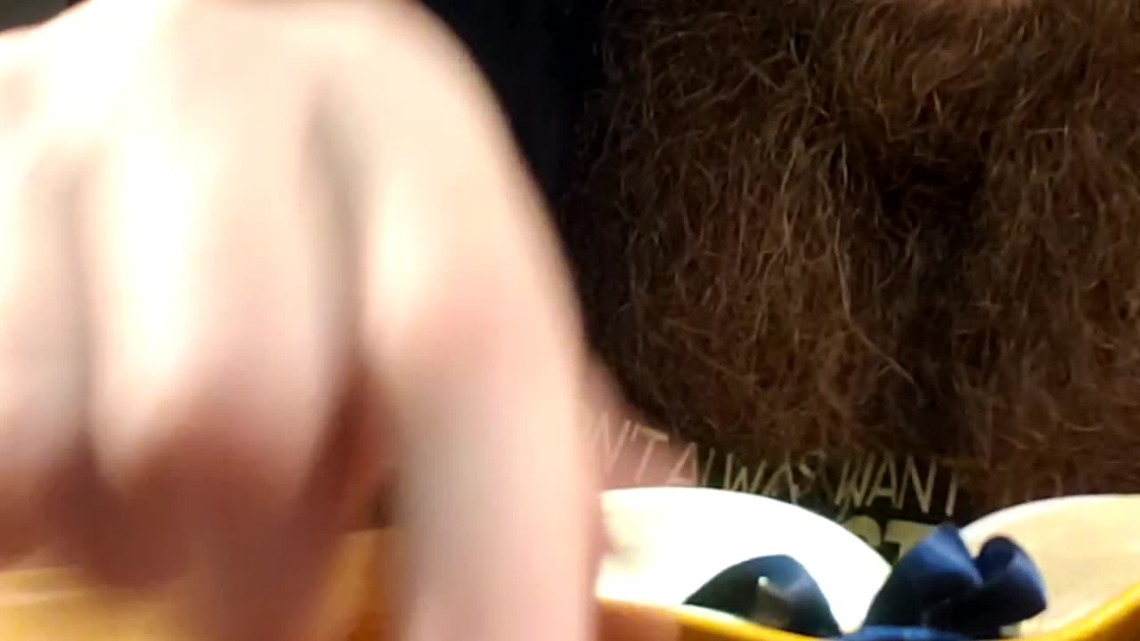 July 23rd, One Year Bible Reading by Ardee..