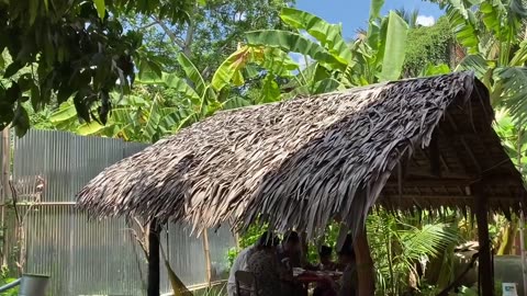 Make Bamboo Shoot And Green Leaves With Fish Soup For Lunch - Prepare By Countryside Life TV.