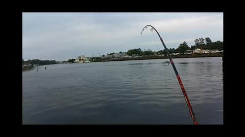 icw myrtle beach fishing