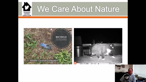 Stories Animal Activists Tell Themselves and Others