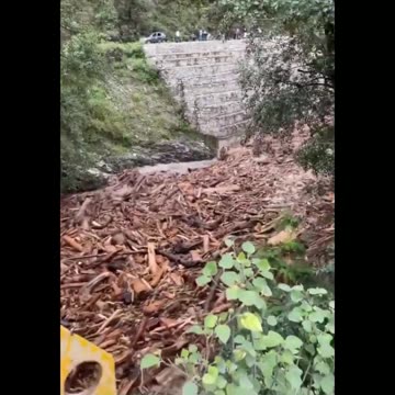 These floods in Himachal have exposed the biggest Timber smuggling racket.