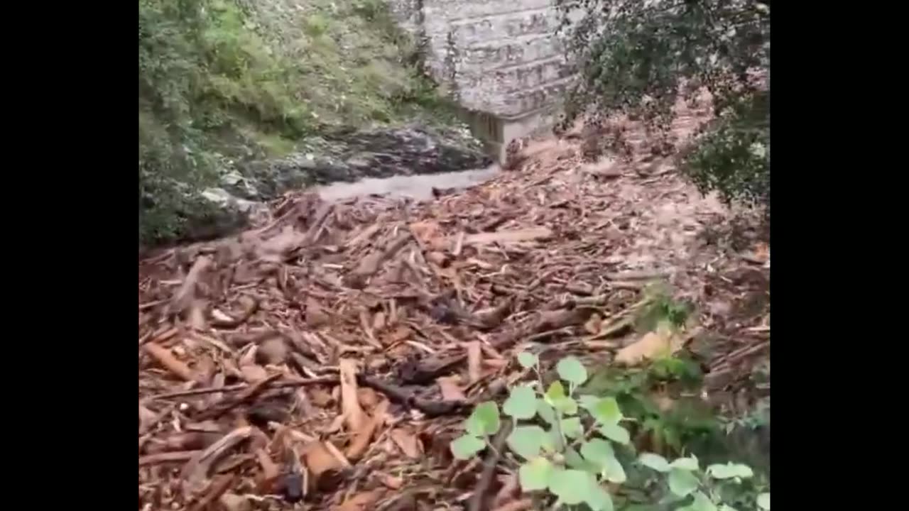 These floods in Himachal have exposed the biggest Timber smuggling racket.