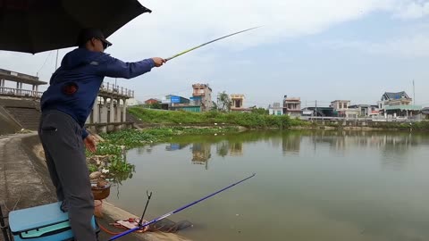 Crayfish Fly Fishing in River Stone Piles