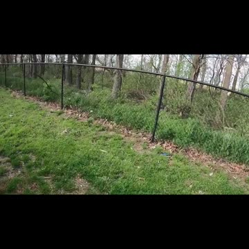 AMAZON SHORT #ourtruckinglife #truckdriver #reallifetruckers #trucking #atruckerslife#vistatrans