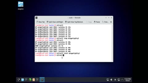 Nitro Init System on PCLinuxOS