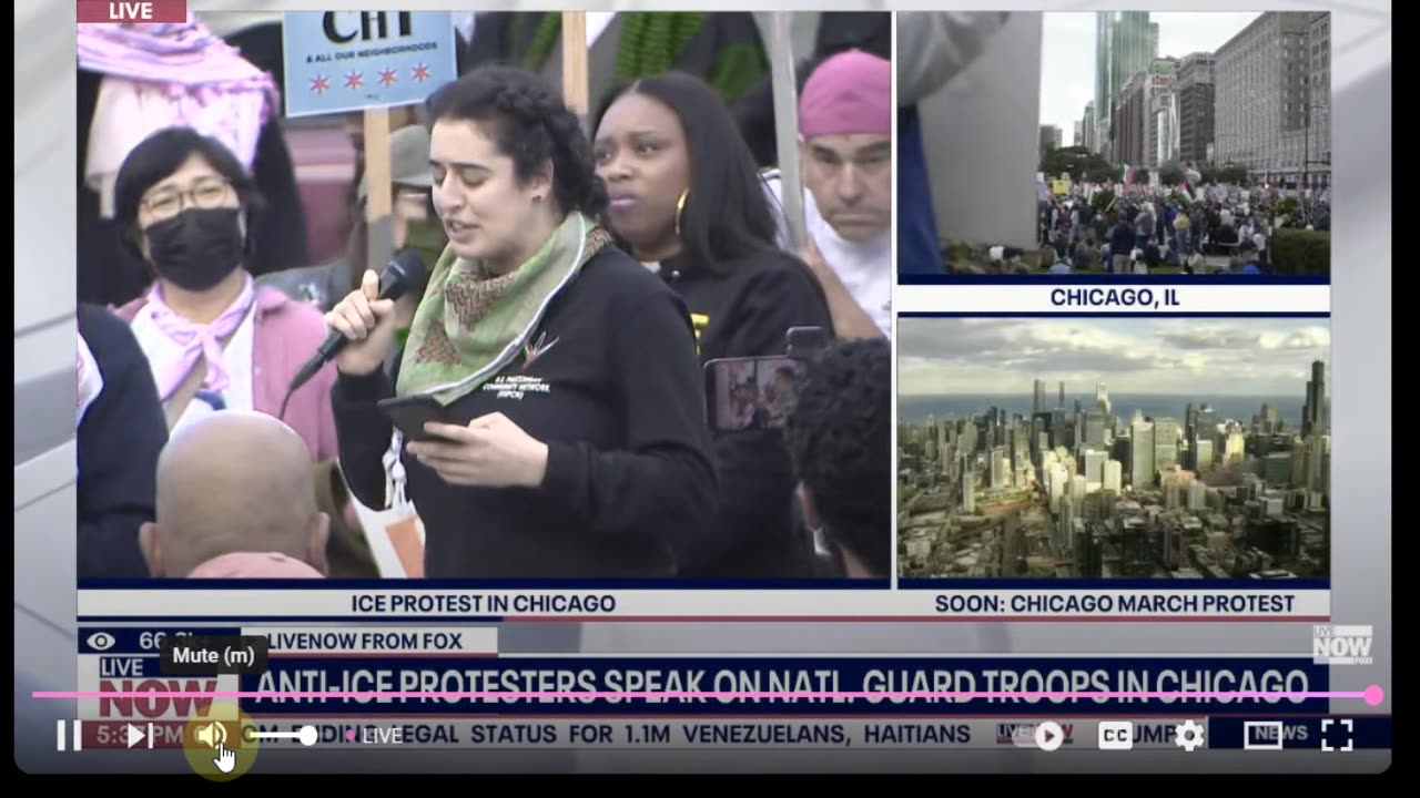Protest (filled with anti-white rhetoric) Over National Guard In Chicago - They Call Trump Names and Waive Mexican Flags