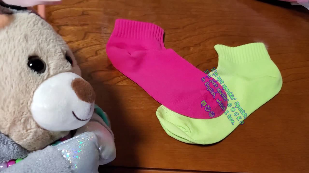 The Bear from S. O. C. K. S.