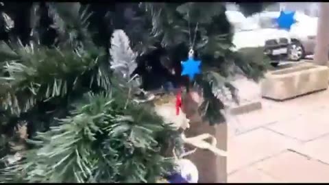 Polish MP Grzegorz Braun: "We are Poland we do not celebrate gay Christmas trees"