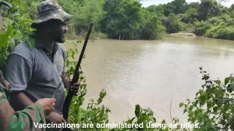 Vaccine hunt 😲😲