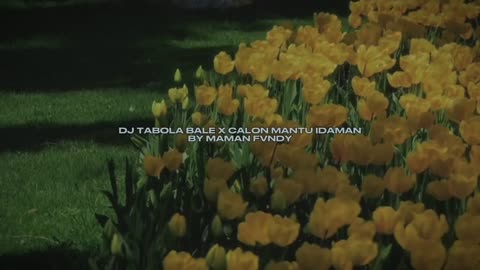 DJ TABOLA BALE X CALON MANTU IDAMAN BY MAMAN FVNDY VIRAL TIKTOK MENGKANEE!!