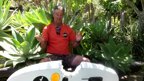 'I thought I was gone': windsurfer wrestles with shark in Australia