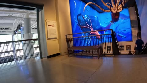 Houston Museum of Natural Science Part Two