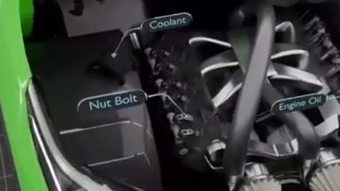 Funny video
