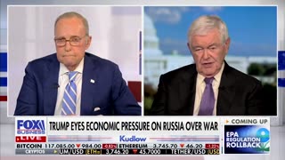 Newt Gingrich Describes How To 'Cut Off' Putin's Resources