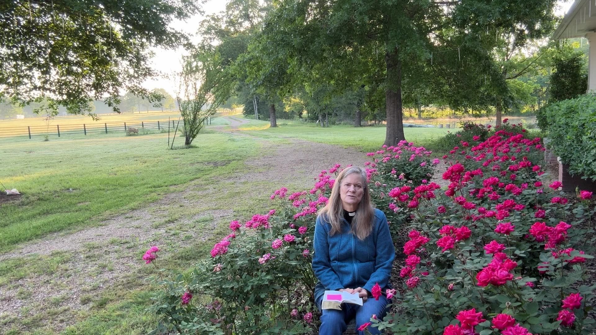 Daily Office, Morning Prayer