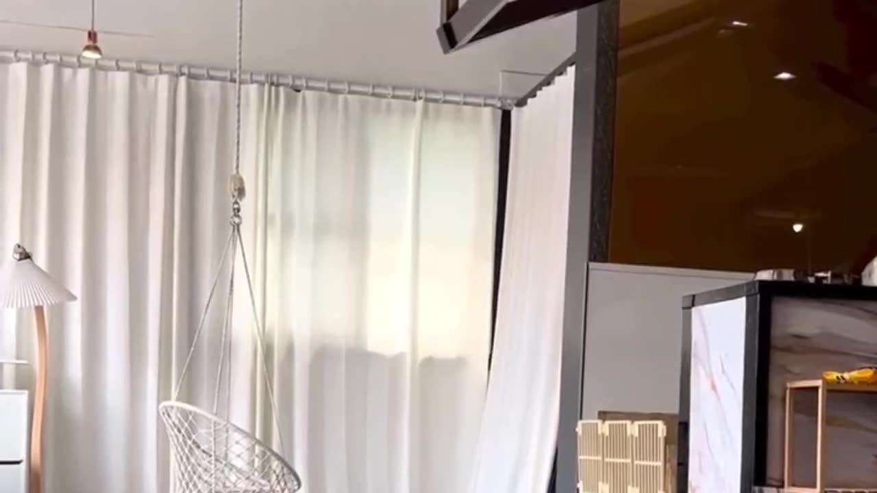 Fluffy Adventures | Watch These Funny Cats and Kittens 🐱🔥