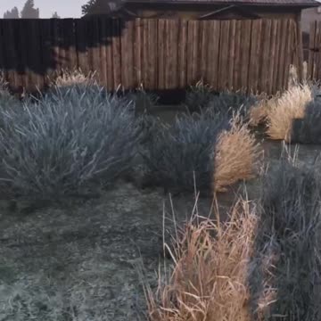 I Became A DayZ Bandit