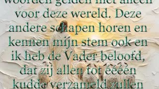 Maar Ik Heb Vele Andere Schapen