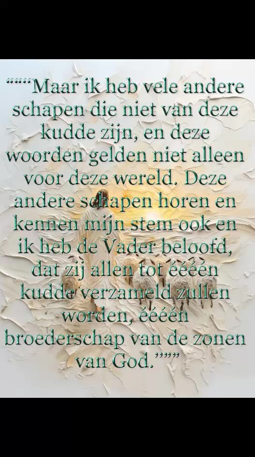 Maar Ik Heb Vele Andere Schapen