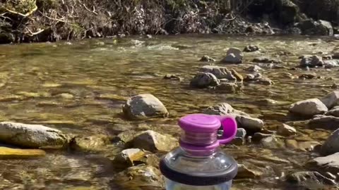 Did you know that water can carry and transmit information?