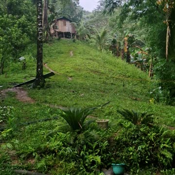 Cute Chicks in the Philippines – What Surprise! 🇵🇭