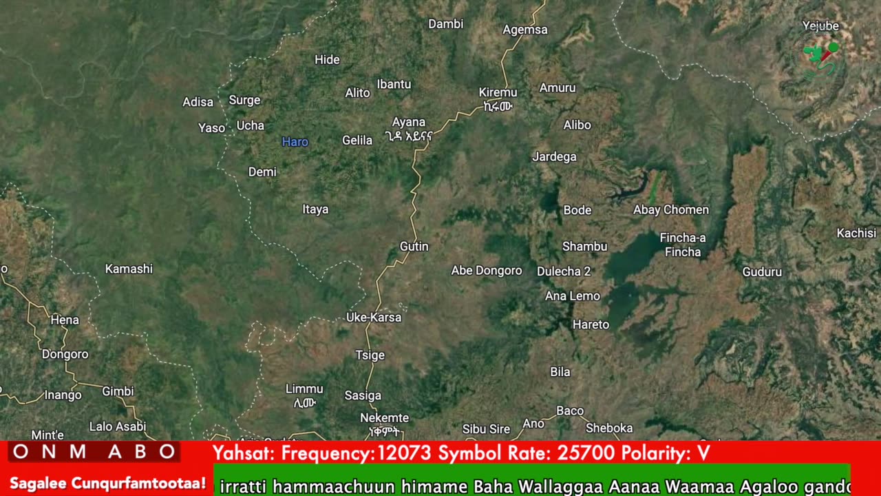 Oduu Ganama ONM-ABO Waxaabajjii 11-2025 itti dhiyaadhaa!