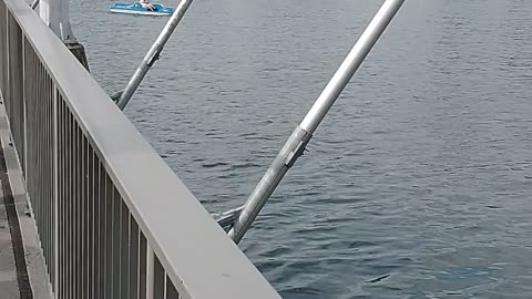 Luzerne 8/25