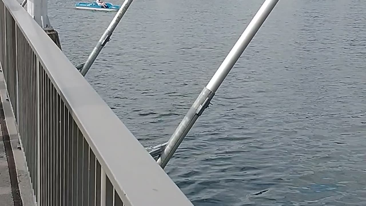 Luzerne 8/25