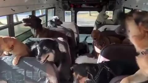 Before Vs After The Park