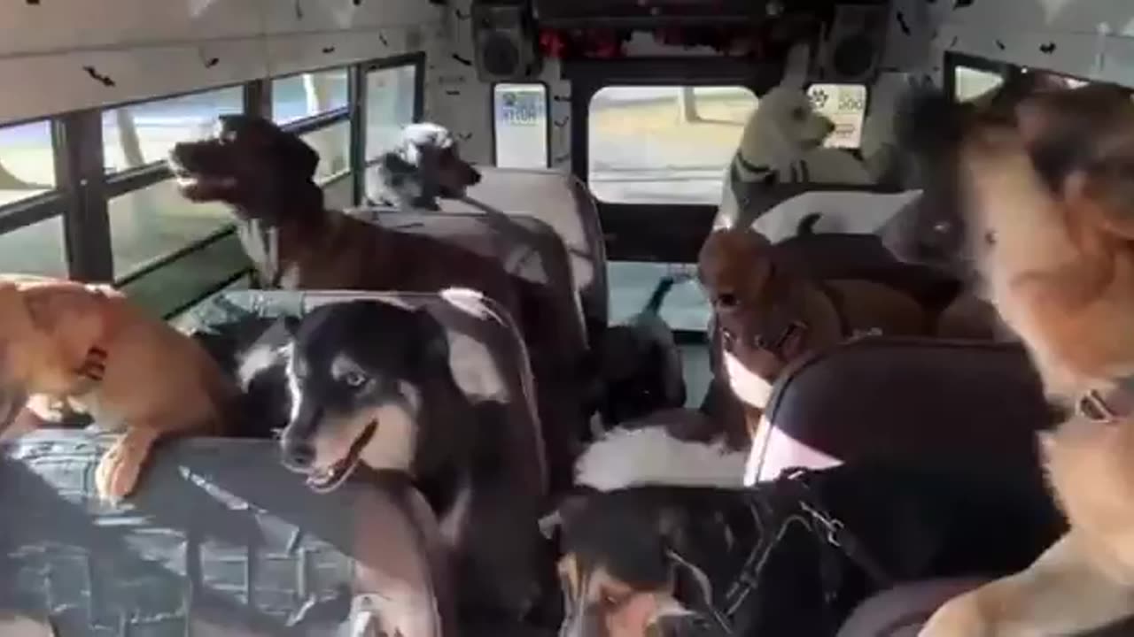 Before Vs After The Park