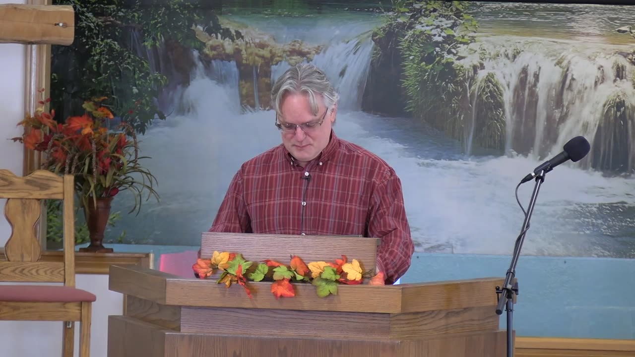 Going Forward In Gratitude