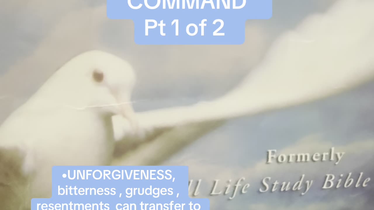 Word of knowledge on forgiveness