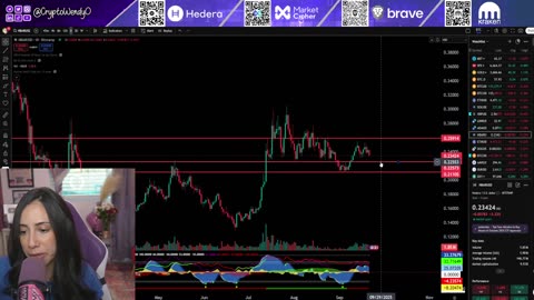 CRYPTO BULL MARKET HASN'T STARTED YET?!