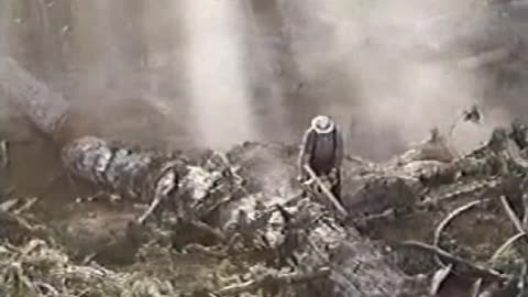 Commercial - Viceroy Cigarettes (Lumberjacking)