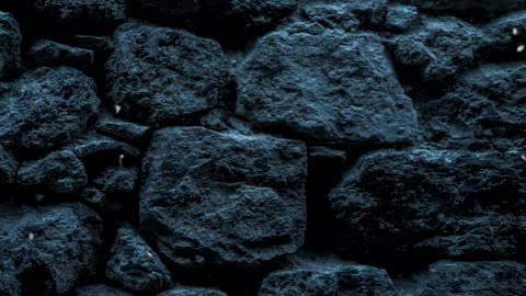 Llegada de Santa Ana a Belén - Visiones de la beata Ana Catalina Emmerick