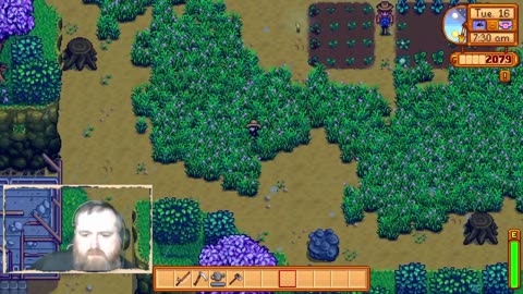 Sims Games: Simsy plays Stardew Valley ‽ ‽ ‽