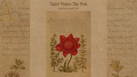 Tales Under The Oak - Scarborough Fair (2026)
