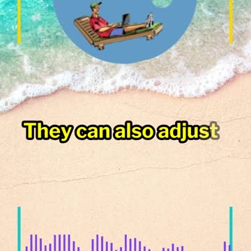 What is a Trading Algorithm?