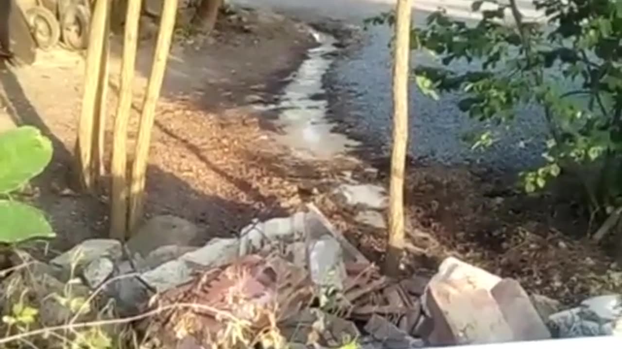 A rendőrbűnözők szerint ez nem történt meg, a videóban csobogó vegyszer csak az én hallucinációm!!!