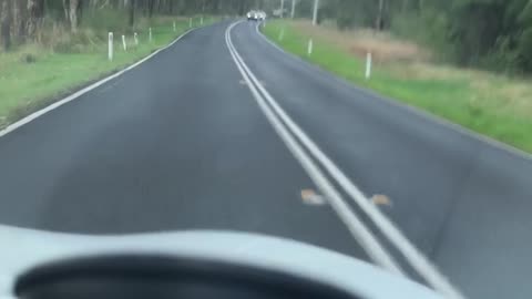 Drive with Rascal. Bonus rant