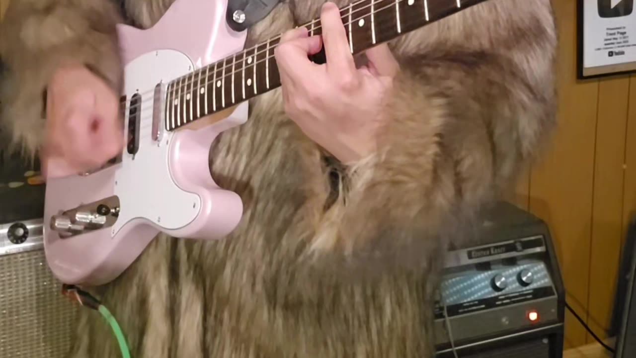 Southern culture on the skids camel walk guitar example.