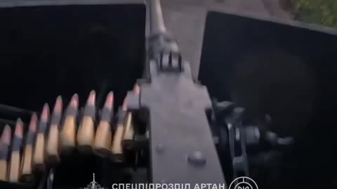 Ukrainian Raid On A Russian-Occupied Forest Plantation