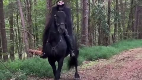 🎃️👻 Watch This Headless Horseman Halloween Costume in Action! | FeedMyCuriosity