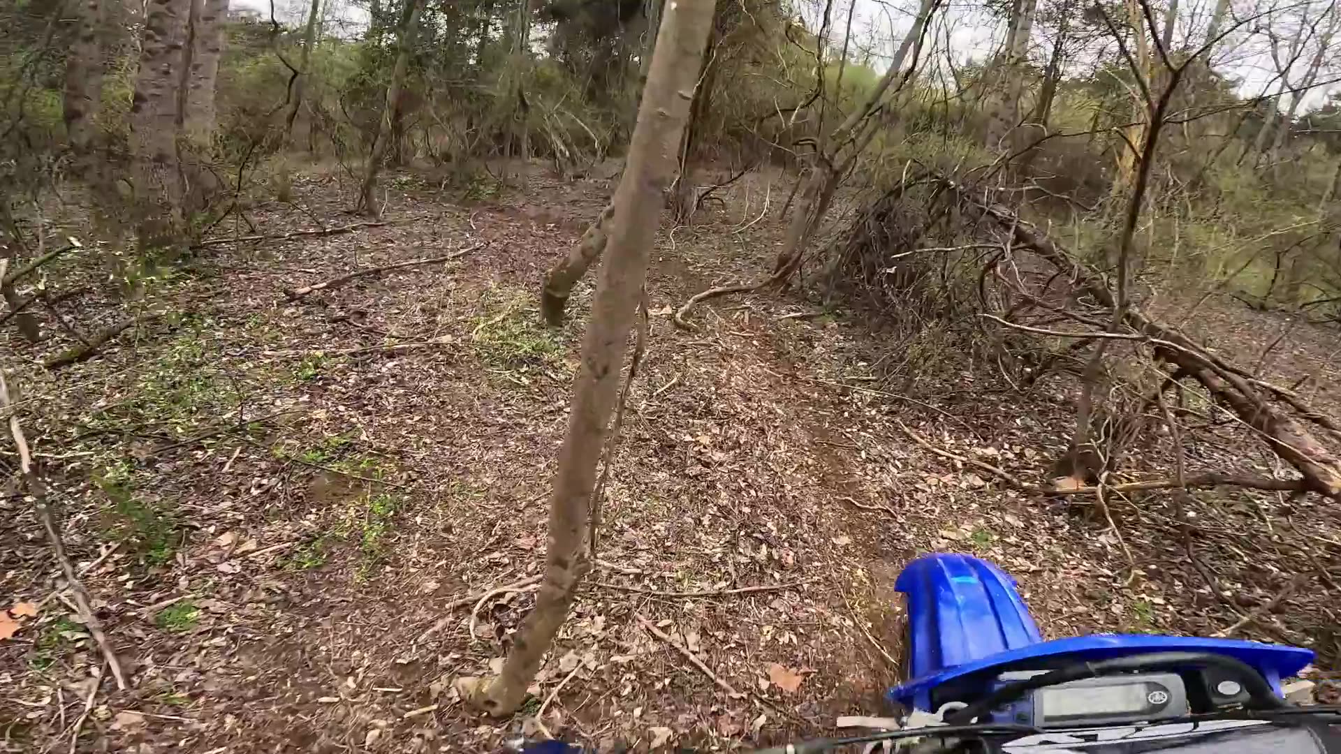 Riding a 2008 WR450F on TIGHT singletrack
