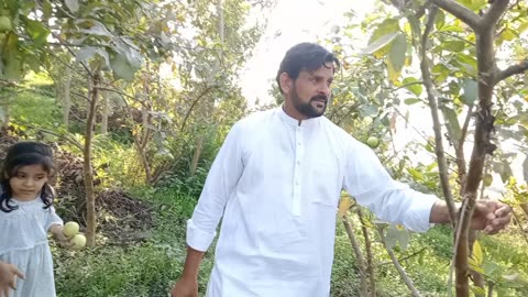 Rural Punjabi princess happy with her Dad in Fruit Garden