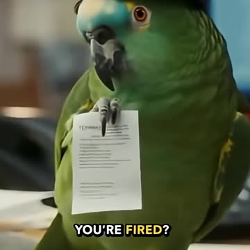 This Parrot Just Realized He Can’t Fly So He Walks Like a Boss 🦜💀 #papagoiecho #parrot #funny #birds