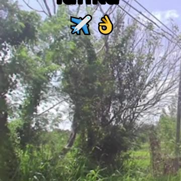 Kibissa - Sri lanka ✈️👌