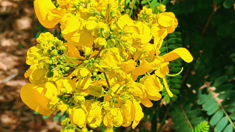 Enjoying another day outside