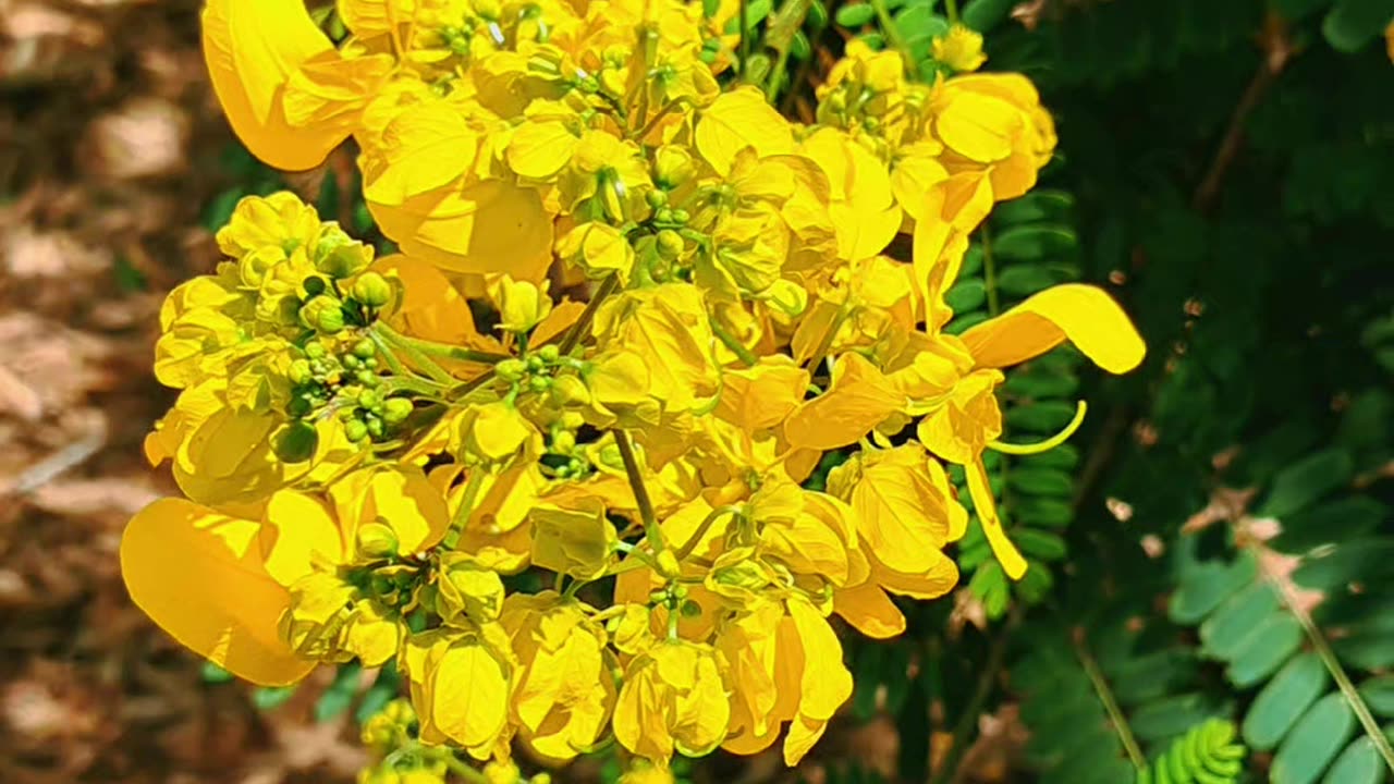 Enjoying another day outside