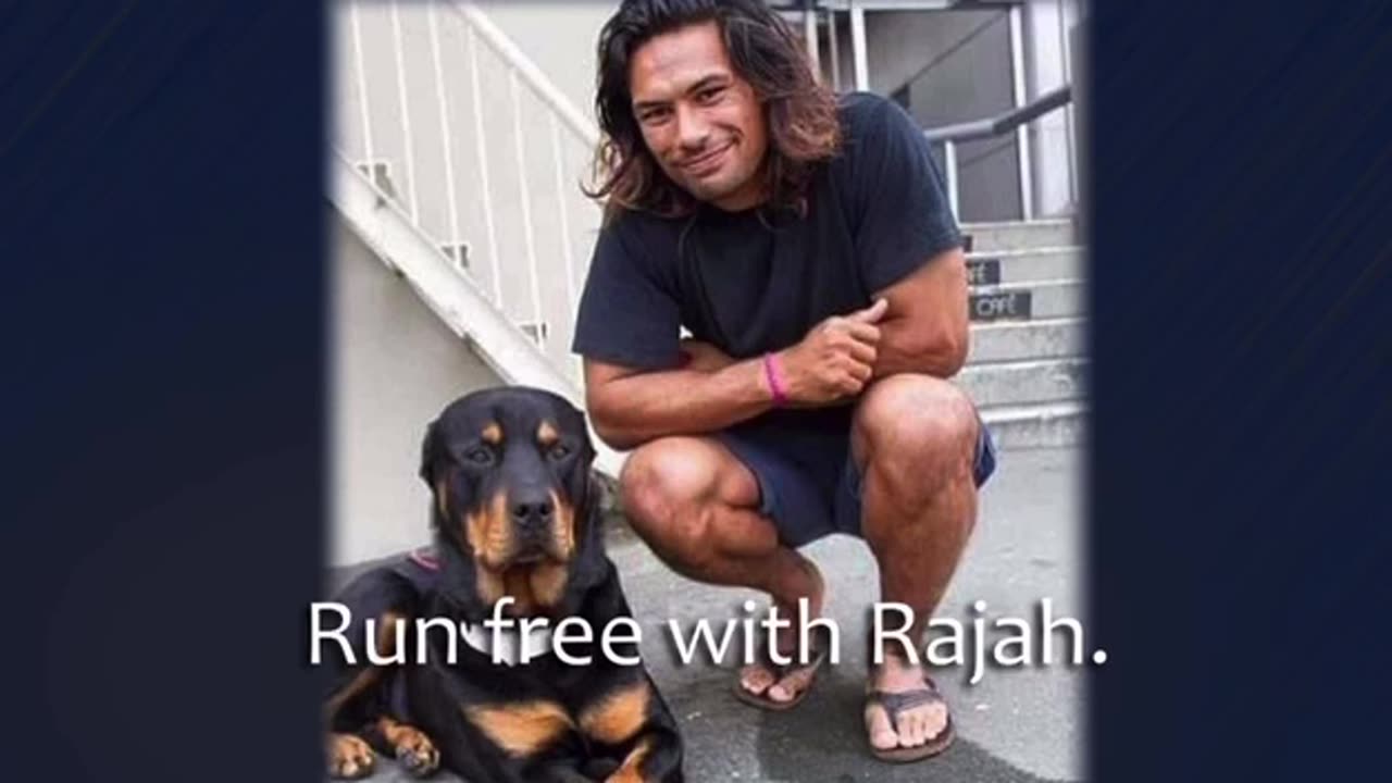 Shane Christie says he's been gaslit and assaulted by council members just days before passing away.